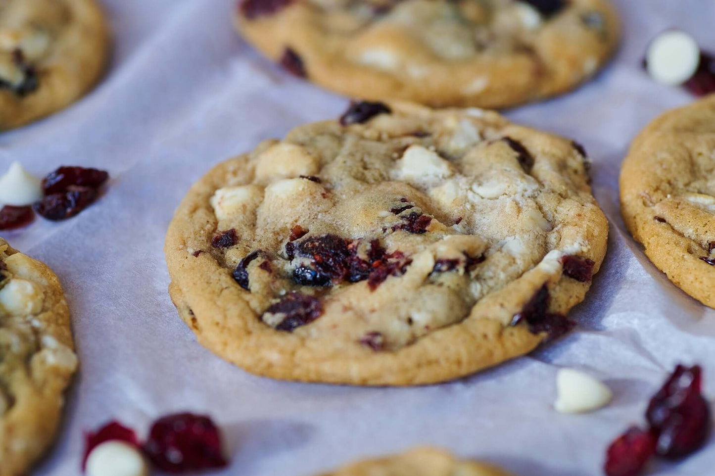 WHITE CHOCOLATE CRANBERRY (DOZEN)